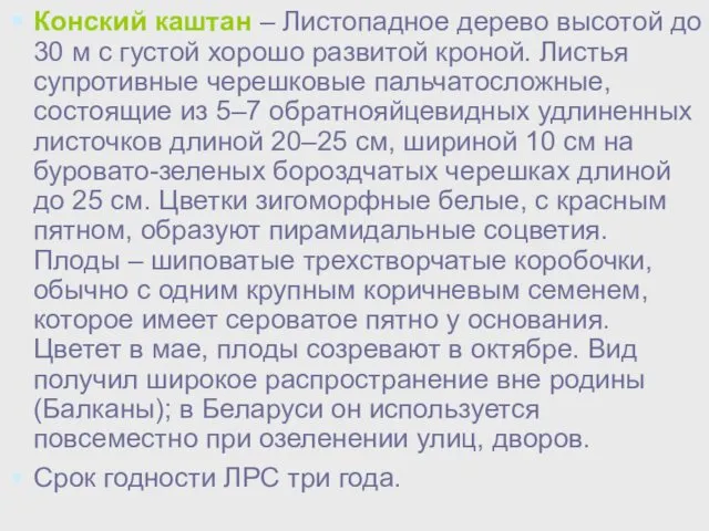 Конский каштан – Листопадное дерево высотой до 30 м с