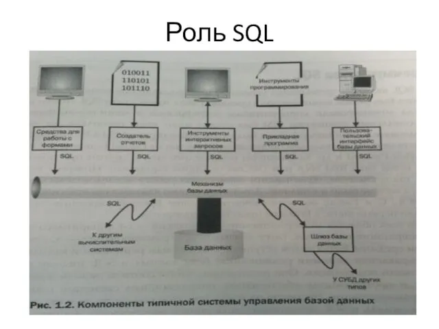 Роль SQL