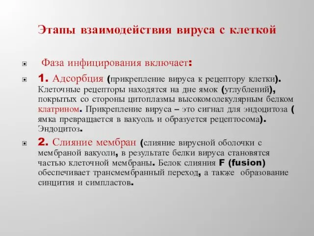 Этапы взаимодействия вируса с клеткой Фаза инфицирования включает: 1. Адсорбция