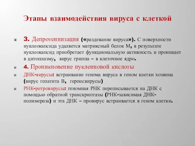 Этапы взаимодействия вируса с клеткой 3. Депротеинизация («раздевание вируса»). С