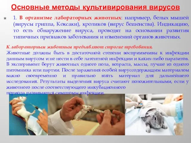 Основные методы культивирования вирусов 1. В организме лабораторных животных: например,