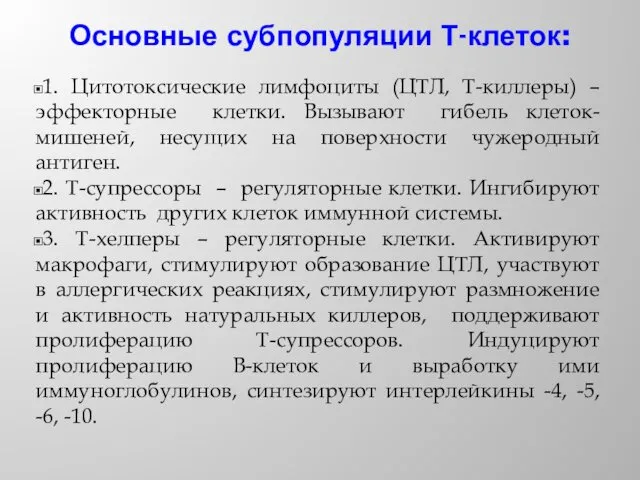 Основные субпопуляции Т-клеток: 1. Цитотоксические лимфоциты (ЦТЛ, Т-киллеры) – эффекторные