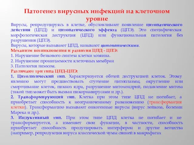 Патогенез вирусных инфекций на клеточном уровне Вирусы, репродуцируясь в клетке,