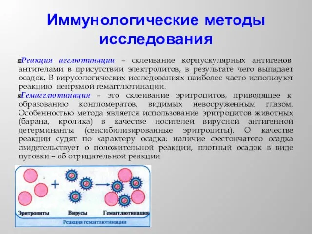 Иммунологические методы исследования Реакция агглютинации – склеивание корпускулярных антигенов антителами