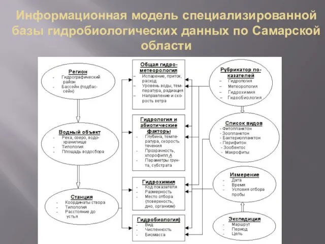 Информационная модель специализированной базы гидробиологических данных по Самарской области