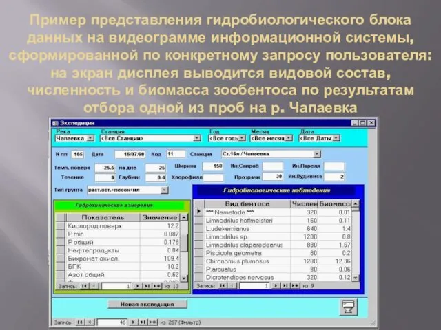Пример представления гидробиологического блока данных на видеограмме информационной системы, сформированной по конкретному запросу