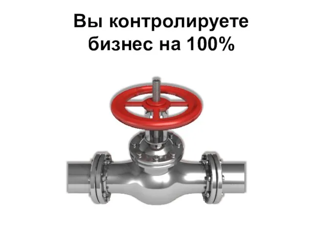 Вы контролируете бизнес на 100%