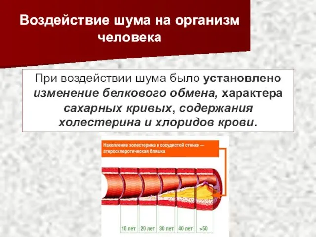 Воздействие шума на организм человека При воздействии шума было установлено