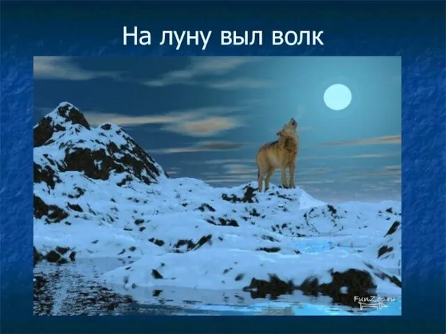 На луну выл волк