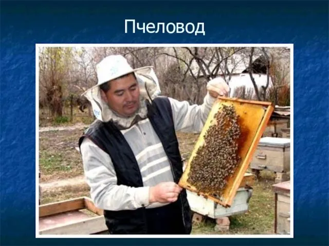 Пчеловод