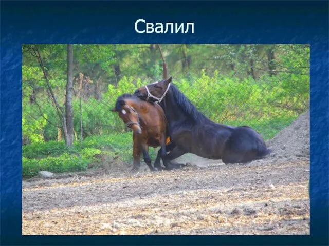 Свалил