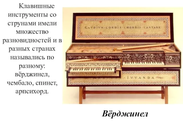 Клавишные инструменты со струнами имели множество разновидностей и в разных странах назывались по