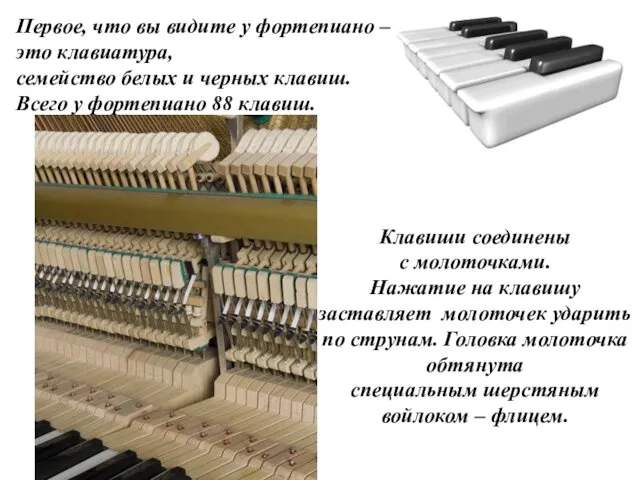 Первое, что вы видите у фортепиано – это клавиатура, семейство белых и черных