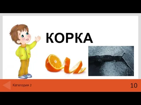 КОРКА 10 Категория 2