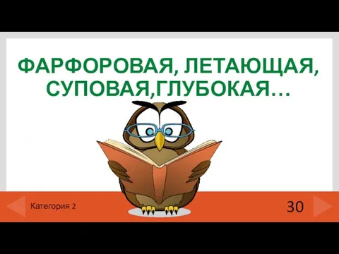 ФАРФОРОВАЯ, ЛЕТАЮЩАЯ, СУПОВАЯ,ГЛУБОКАЯ… 30 Категория 2