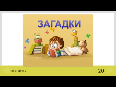 20 Категория 5