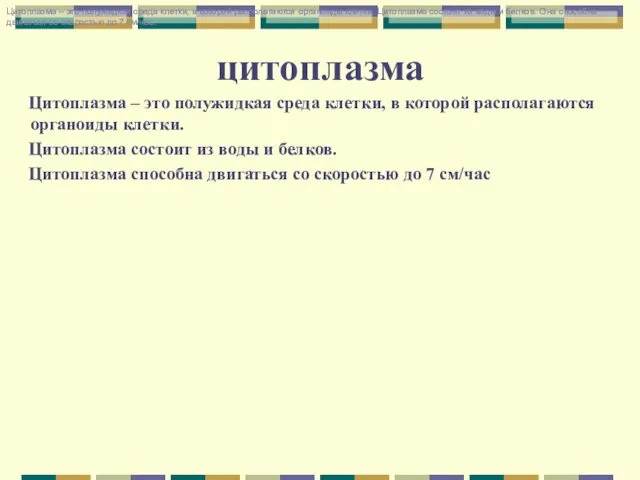 цитоплазма Цитоплазма – это полужидкая среда клетки, в которой располагаются