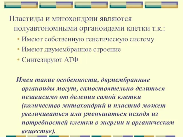 Пластиды и митохондрии являются полуавтономными органоидами клетки т.к.: Имеют собственную