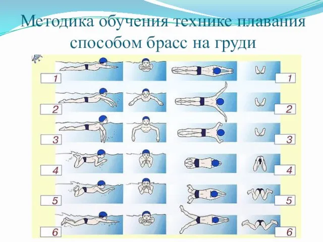 Методика обучения технике плавания способом брасс на груди