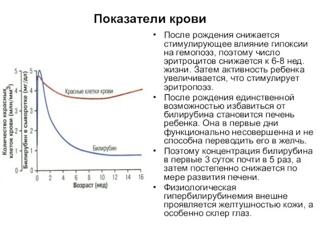 Показатели крови После рождения снижается стимулирующее влияние гипоксии на гемопоэз,