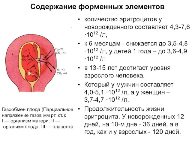 Содержание форменных элементов количество эритроцитов у новорожденного составляет 4,3-7,6 ·1012