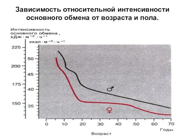 Зависимость относительной интенсивности основного обмена от возраста и пола.