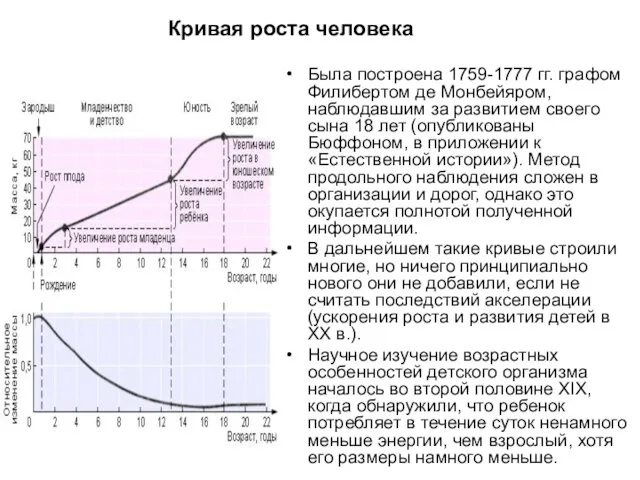 Кривая роста человека Была построена 1759-1777 гг. графом Филибертом де