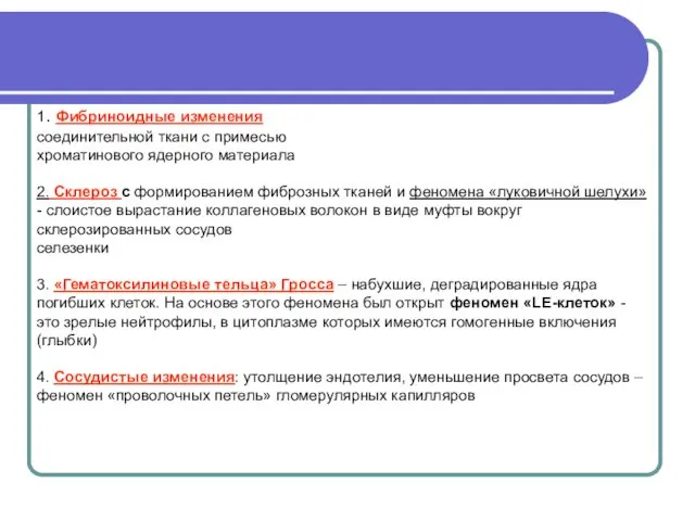 1. Фибриноидные изменения соединительной ткани с примесью хроматинового ядерного материала