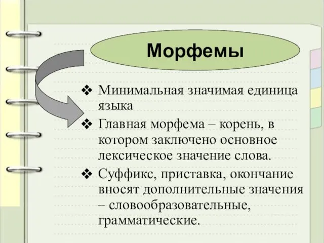 Минимальная значимая единица языка Главная морфема – корень, в котором заключено основное лексическое