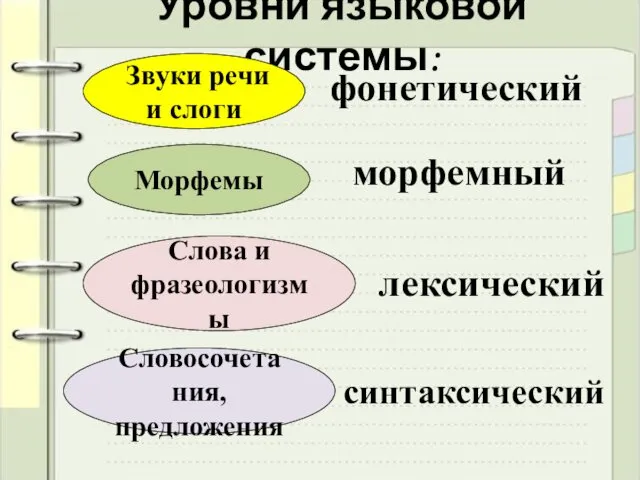 Уровни языковой системы: Звуки речи и слоги Морфемы Слова и фразеологизмы Словосочетания, предложения