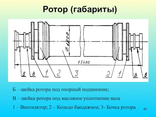 Ротор (габариты) Б – шейка ротора под опорный подшипник; В