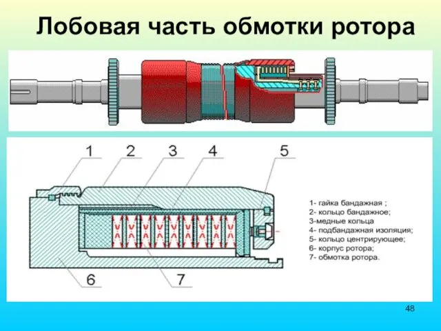 Лобовая часть обмотки ротора