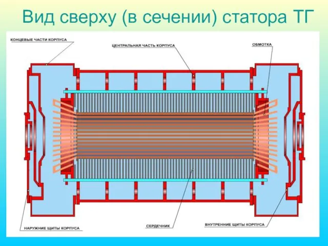 Вид сверху (в сечении) статора ТГ