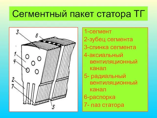 Сегментный пакет статора ТГ 1-сегмент 2-зубец сегмента 3-спинка сегмента 4-аксиальный