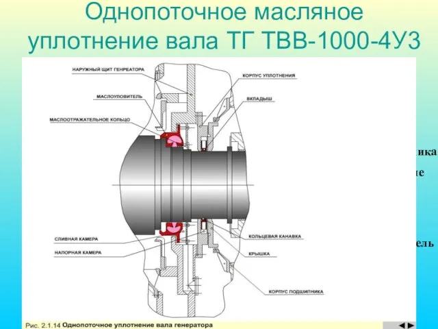 Однопоточное масляное уплотнение вала ТГ ТВВ-1000-4У3 Наружный щит Корпус подшипника Маслоуплотнение Масло-отражательное кольцо Маслоулавлеватель Крышка