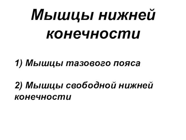 1) Мышцы тазового пояса 2) Мышцы свободной нижней конечности Мышцы нижней конечности