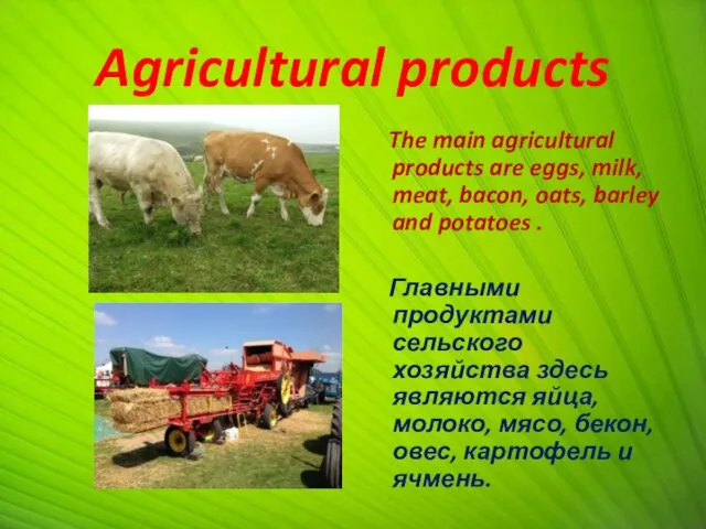 Agricultural products The main agricultural products are eggs, milk, meat, bacon, oats, barley