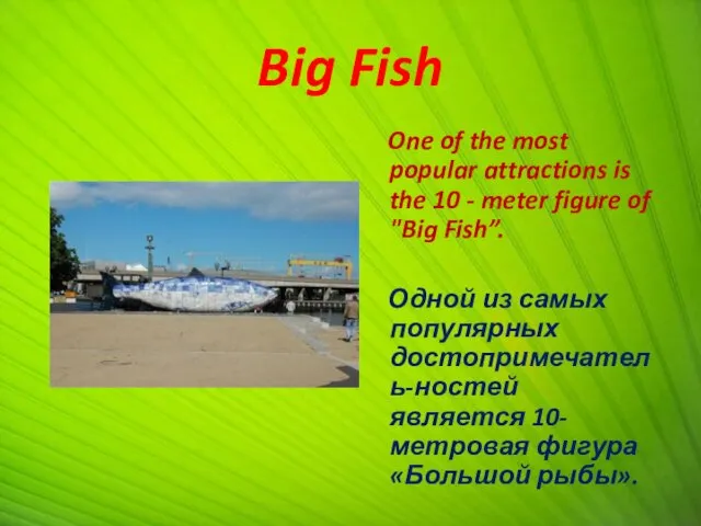 Big Fish One of the most popular attractions is the 10 - meter