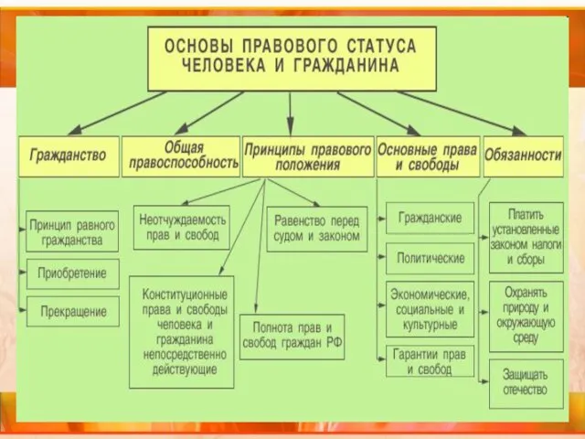 1. Правовой статус человека и гражданина