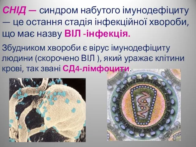 СНІД — синдром набутого імунодефіциту — це остання стадія інфекційної