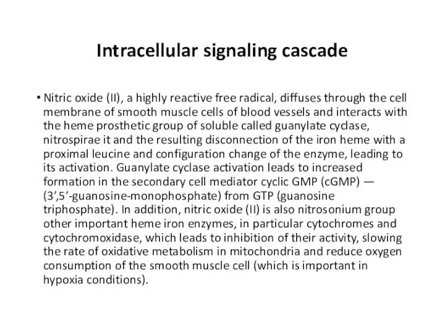 Intracellular signaling cascade Nitric oxide (II), a highly reactive free