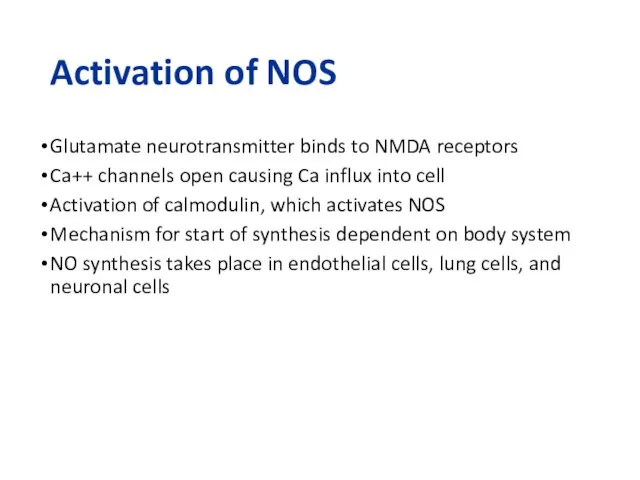 Activation of NOS Glutamate neurotransmitter binds to NMDA receptors Ca++