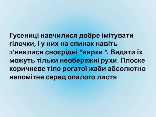 Гусениці навчилися добре імітувати гілочки, і у них на спинах