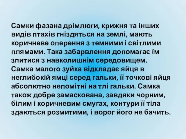 Самки фазана дрімлюги, крижня та інших видів птахів гніздяться на