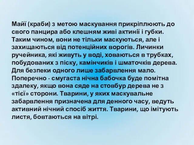 Майї (краби) з метою маскування прикріплюють до свого панцира або