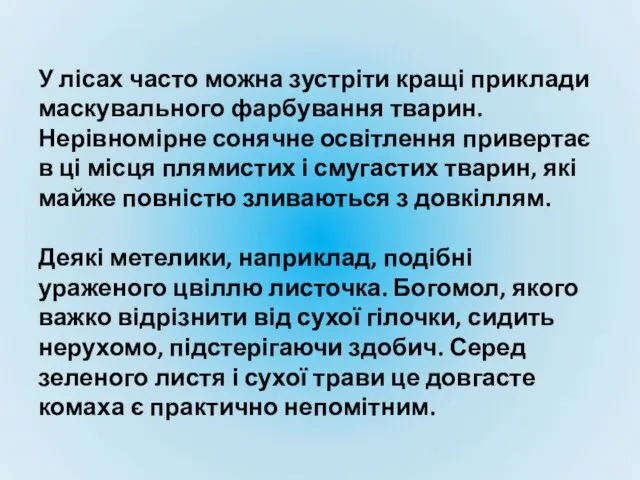 У лісах часто можна зустріти кращі приклади маскувального фарбування тварин.