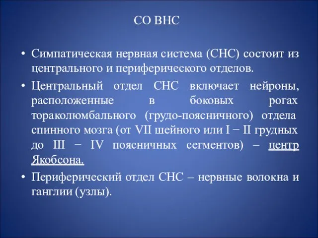 СО ВНС Симпатическая нервная система (СНС) состоит из центрального и