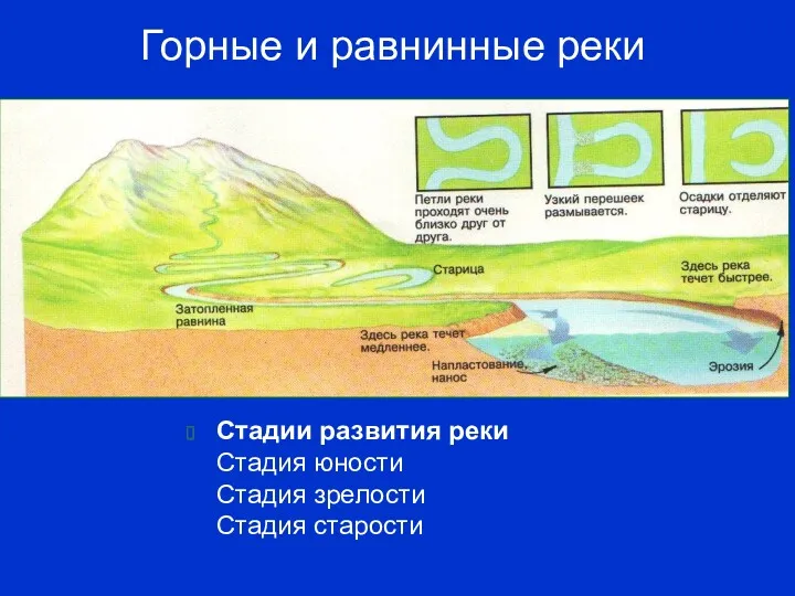 Горные и равнинные реки Стадии развития реки Стадия юности Стадия зрелости Стадия старости