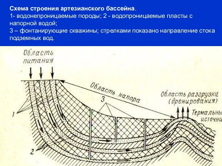 Схема строения артезианского бассейна. 1- водонепроницаемые породы; 2 - водопроницаемые