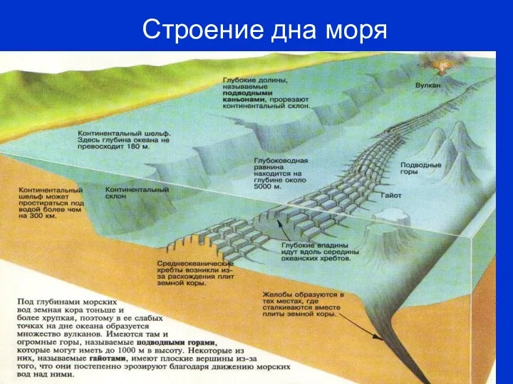 Строение дна моря